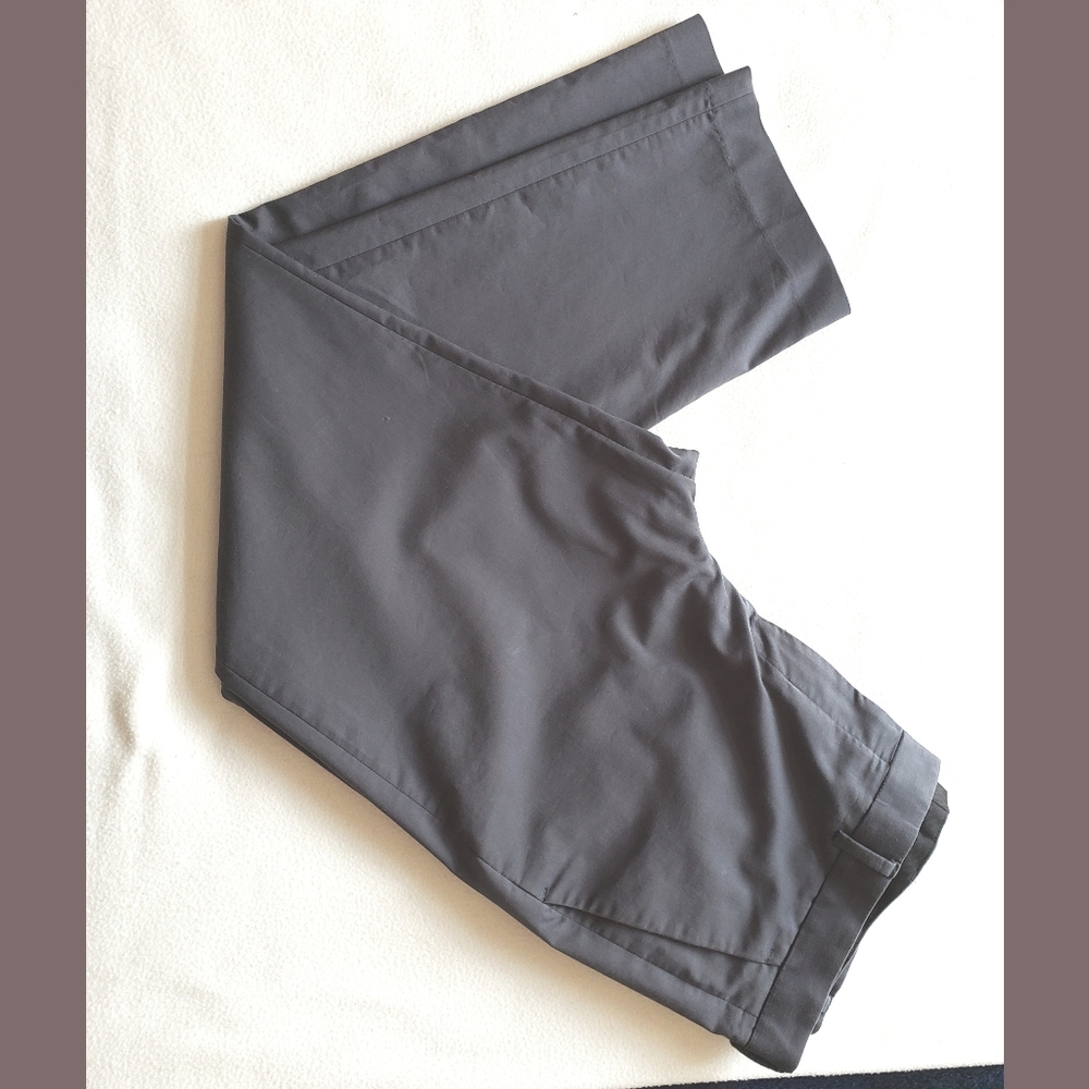 Express- "Photographer" 5 Pocket Dress Pants